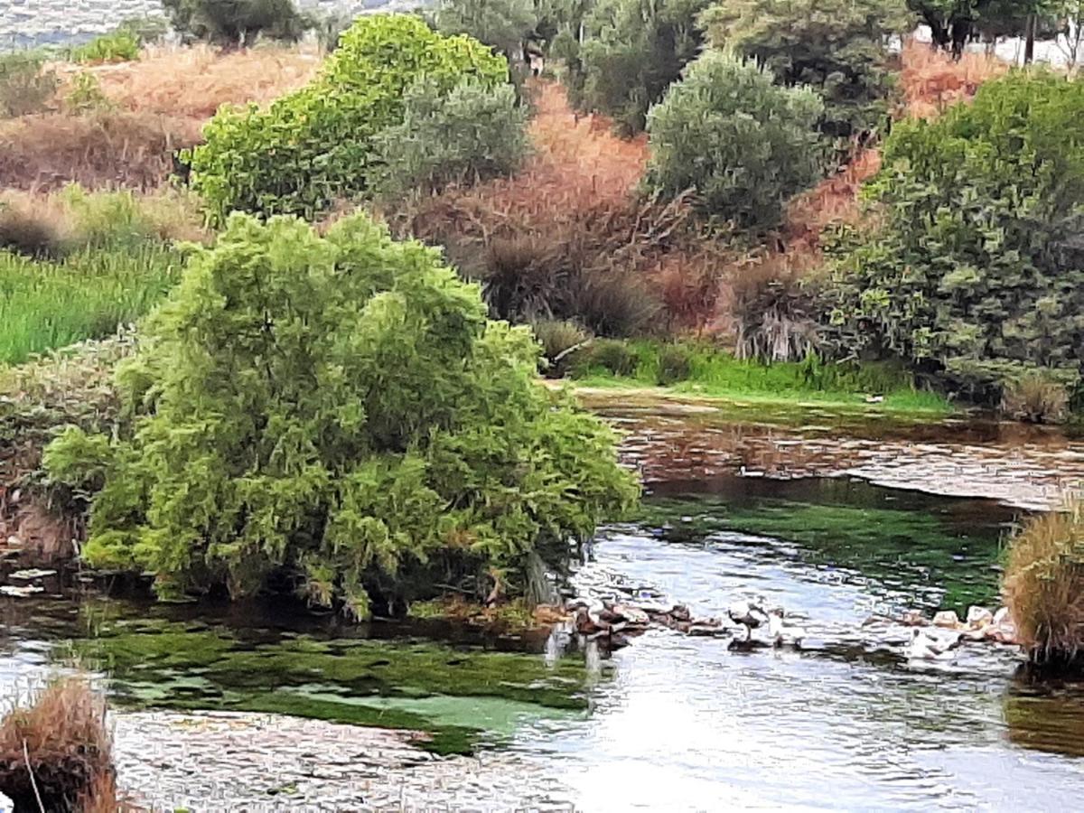 Aloe Villa Chania Crete جورجيوبوليس المظهر الخارجي الصورة