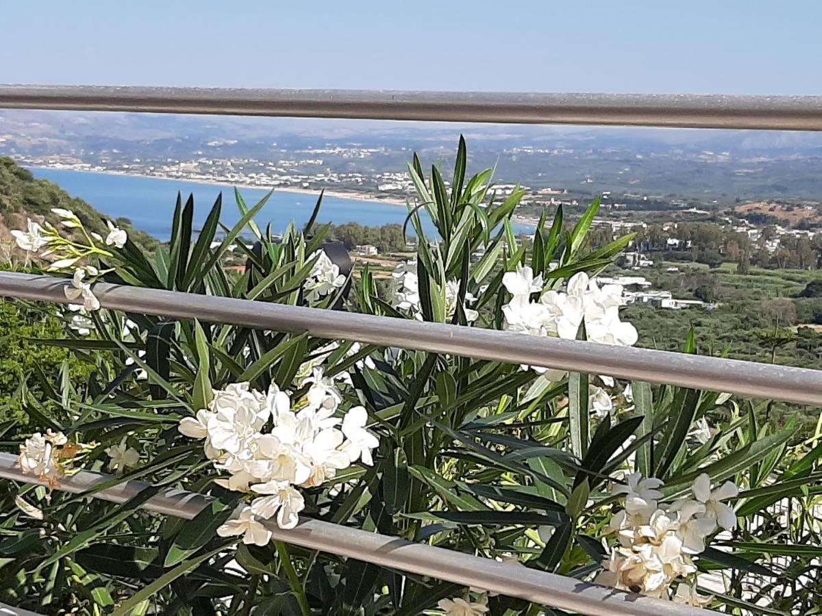Aloe Villa Chania Crete جورجيوبوليس المظهر الخارجي الصورة