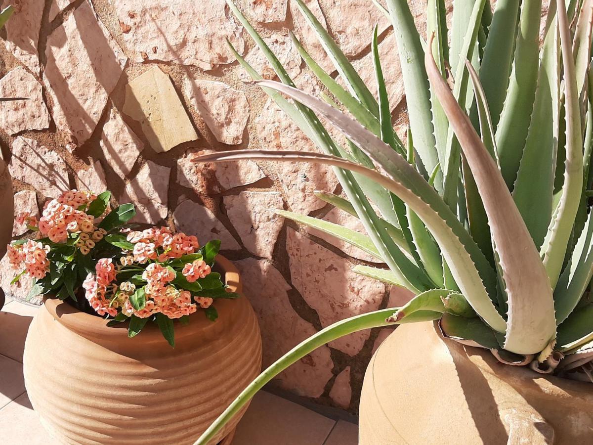 Aloe Villa Chania Crete جورجيوبوليس المظهر الخارجي الصورة