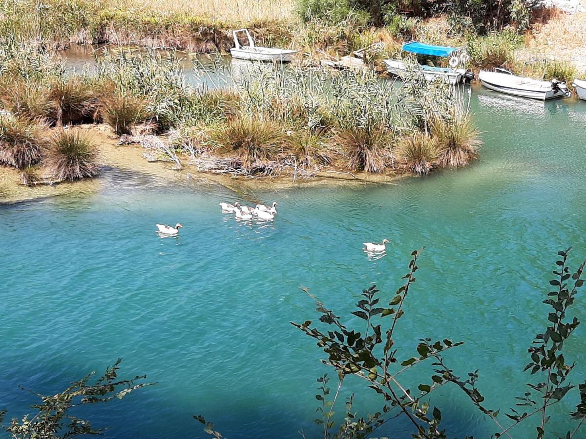 Aloe Villa Chania Crete جورجيوبوليس المظهر الخارجي الصورة